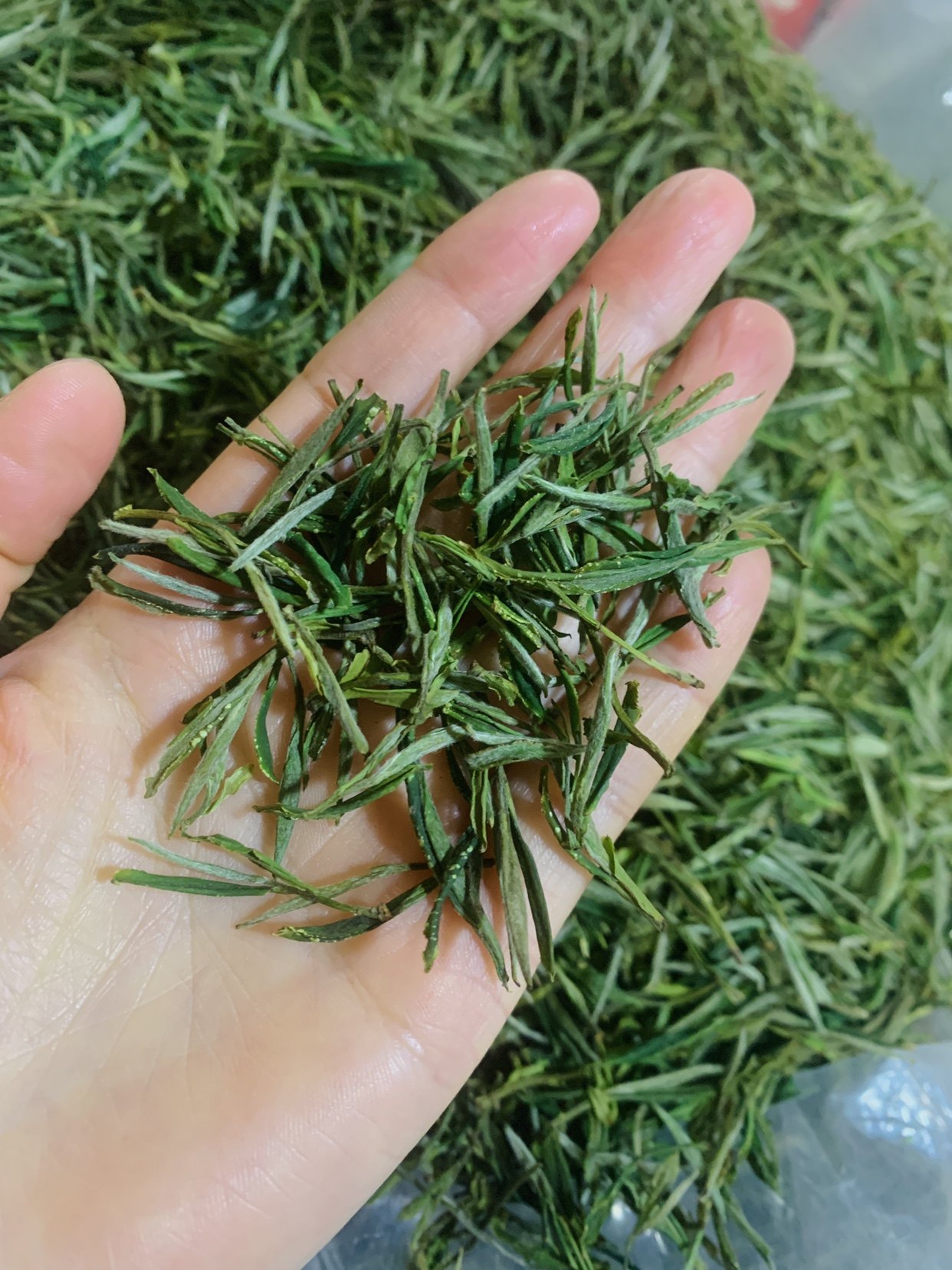 安徽春茶2022新茶雨前黄山毛峰野茶高山绿茶黄山毛峰