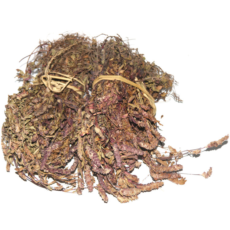 云南文山土特产紫苏凉茶凤尾野生山茶毛茶500克养生茶