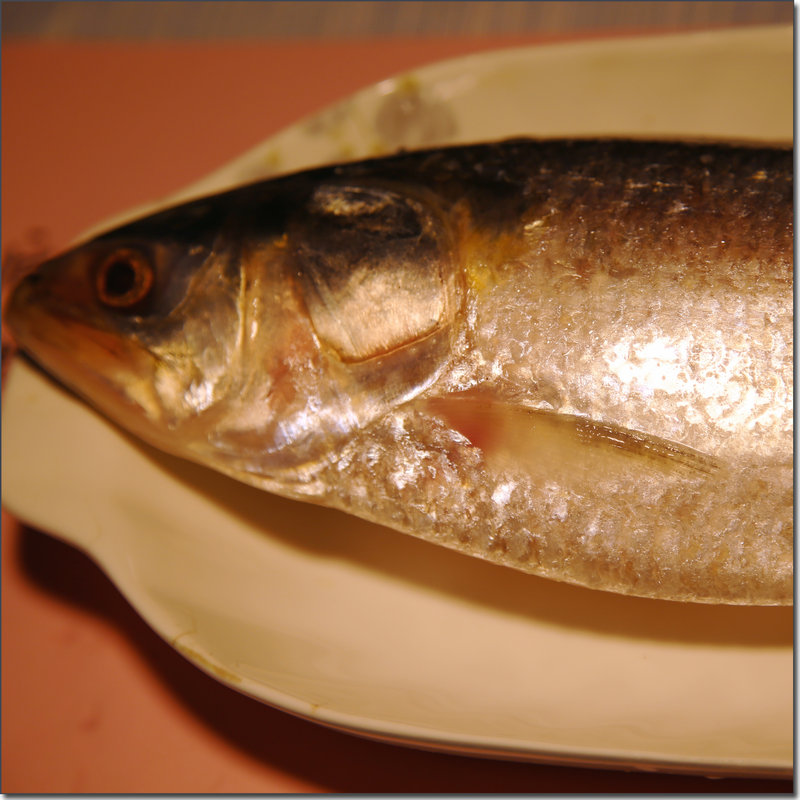 限时特价 顺丰包邮!正宗新鲜长江鲥鱼 细鳞 非冻品550-650g