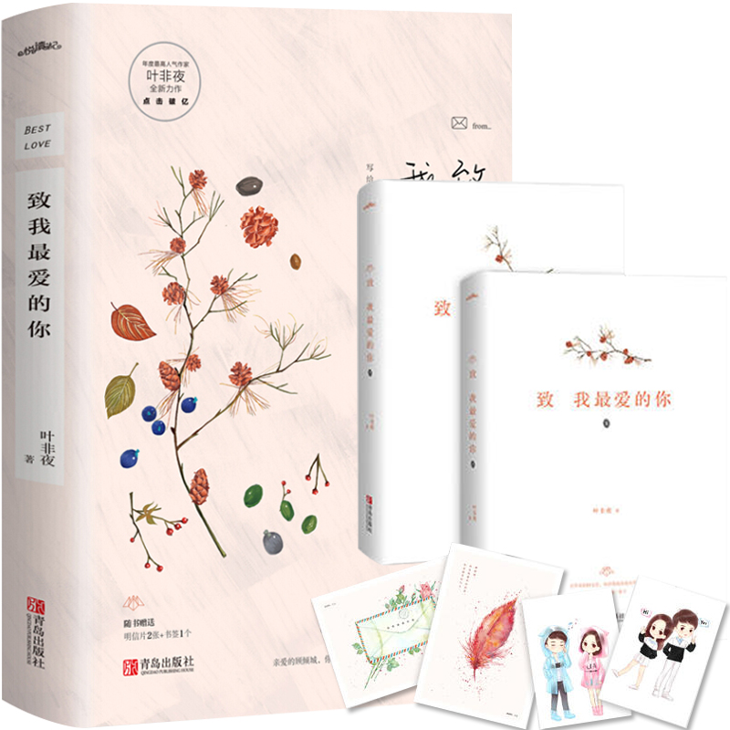 致我最爱的你 叶非夜的书 地老天荒那时喜欢你亿万星辰不及你余生有你