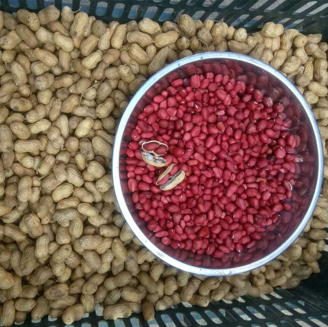 花生花生米湖北红衣米小米新货红皮5斤红安农家其它干货