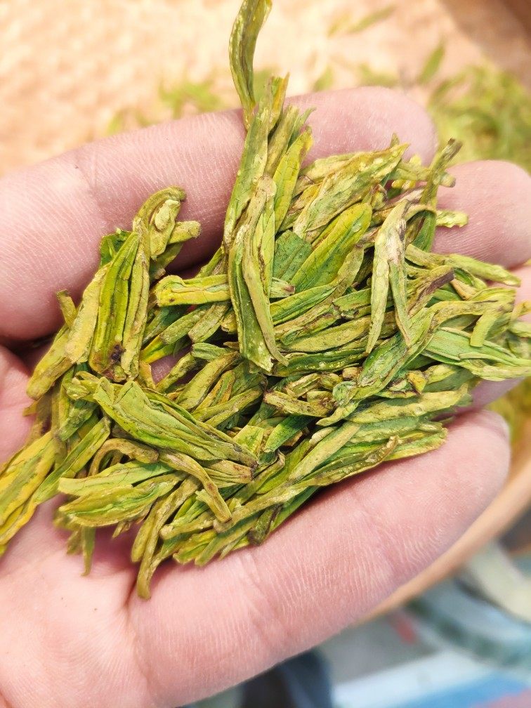 精品白龙井龙井高山头山头浓豆50克龙井茶非西湖