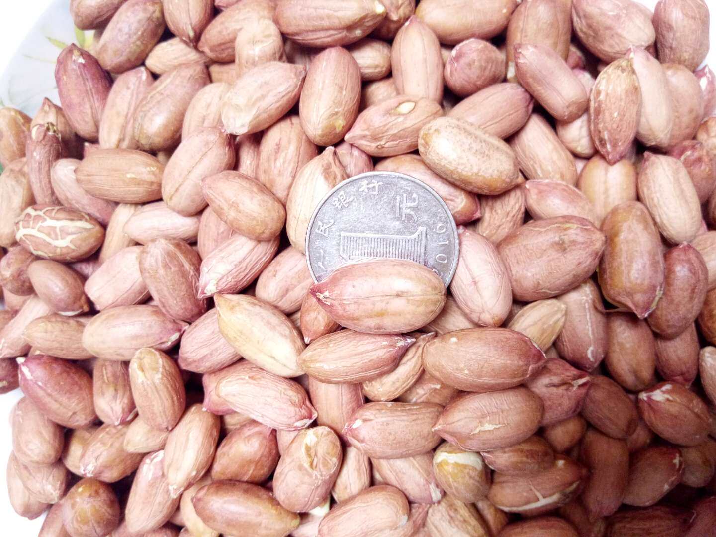 2021年山东大粒鲁花花生米生新5斤农家自产包邮花生