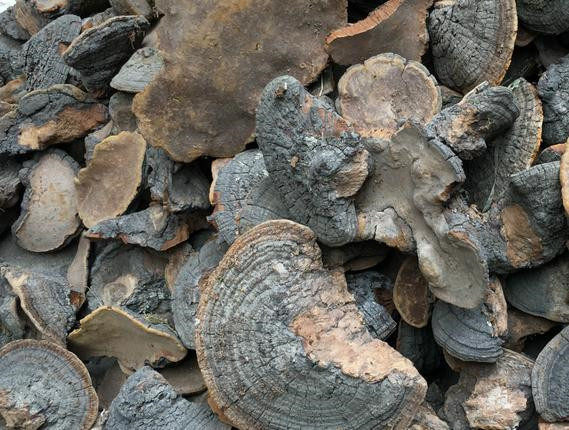 中药材槐耳槐鹅赤鸡正品野生500克槐菌包邮可磨槐其他药食同源食品