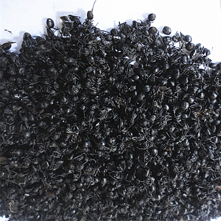 蚂蚁中药材蚁酸拟黑多刺蚁大黑蚂蚁250克泡酒养生蚂蚁