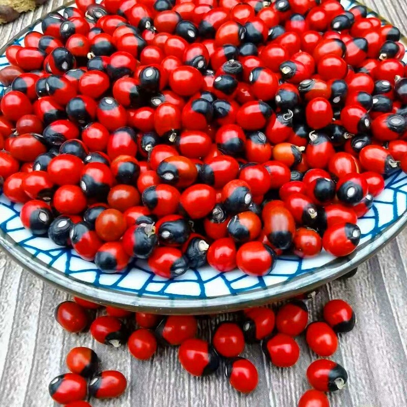 相思豆同仁堂中药材孔雀红豆相思美人鸳鸯豆红其他药食同源食品