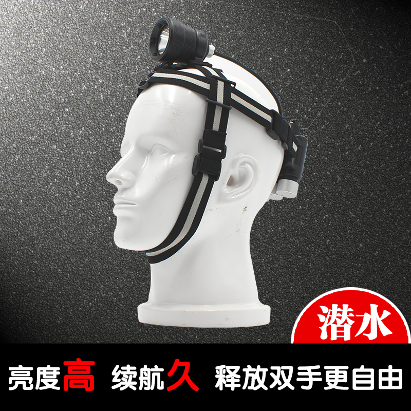 潜水专用头灯 手腕 照明强光手电 水陆两用防水夜潜超亮正品
