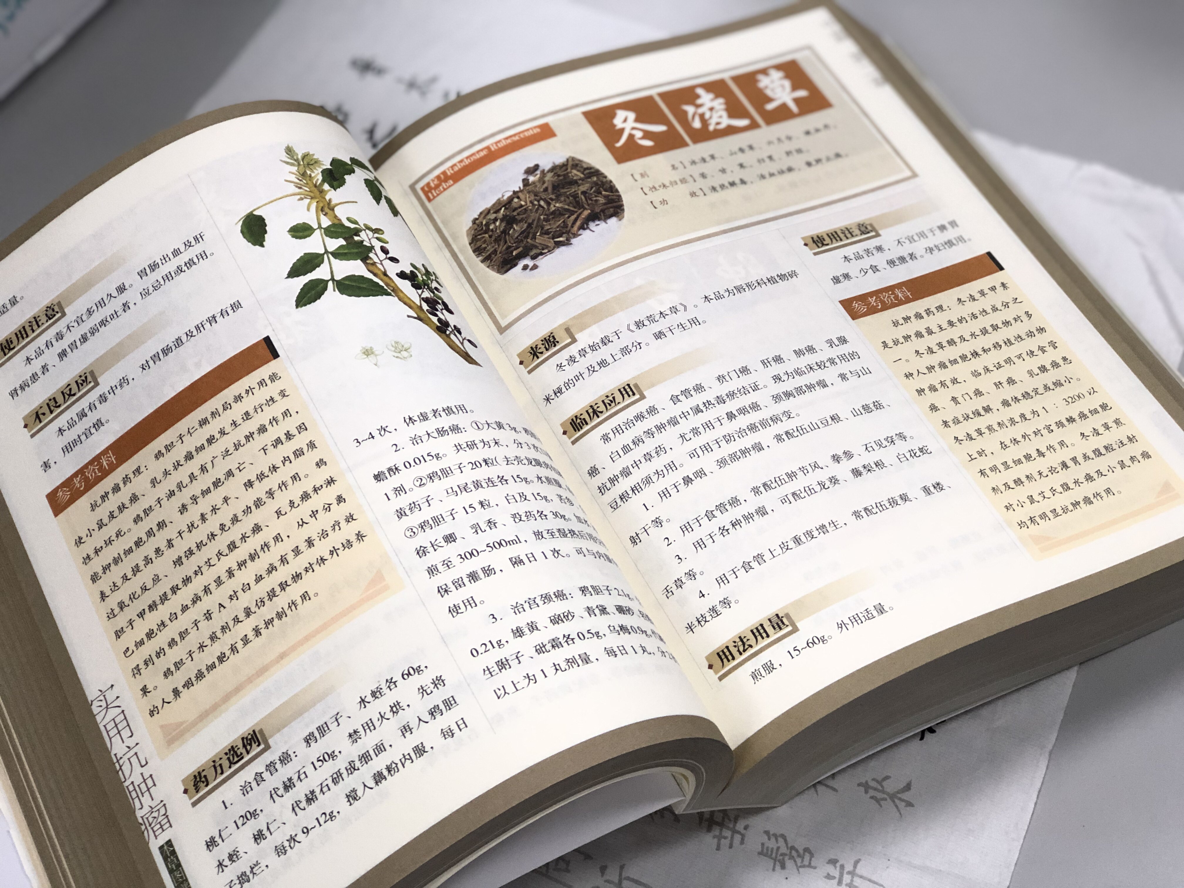 中医治病中医治癌症的书 抗癌中医处方 中药临床书籍