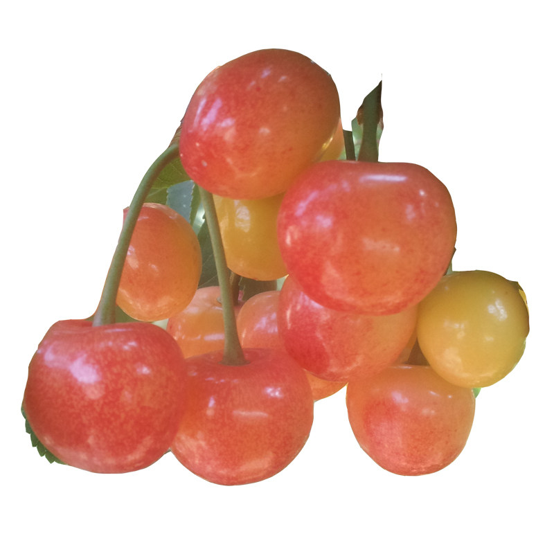 山东青岛新鲜黄樱珠黄蜜大樱桃没有了,等待2019