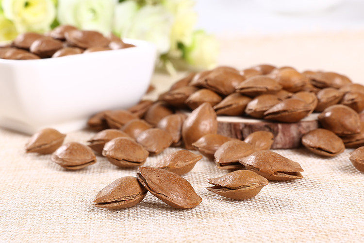 新货杏核坚果小银杏核特产手剥小杏仁零食干果开口杏核20斤包邮