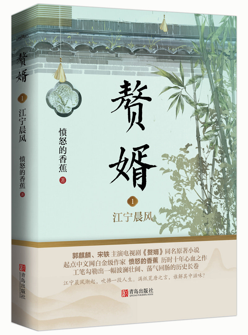 赘婿小说电视剧正版麒麟文学青春原著同名主演其它小说