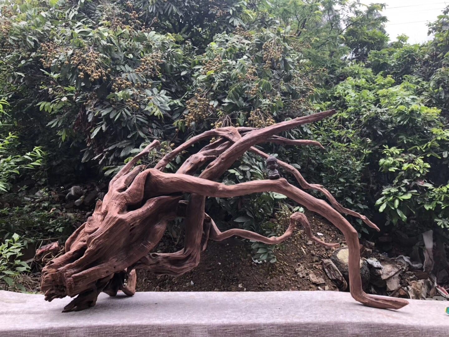 中大型拱桥沉木鱼缸造景大号树桩水草天然紫柚杜鹃根拱型龟晒台