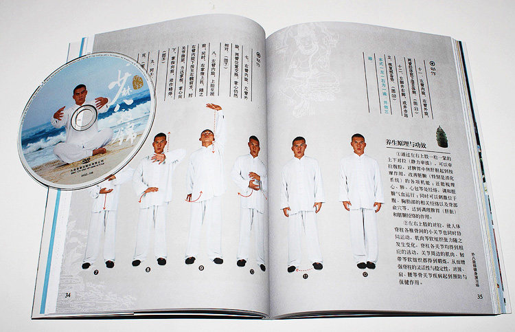 释行宇初级入门教学教材武术少林拳示范讲解教学少林八段锦(1dvd)