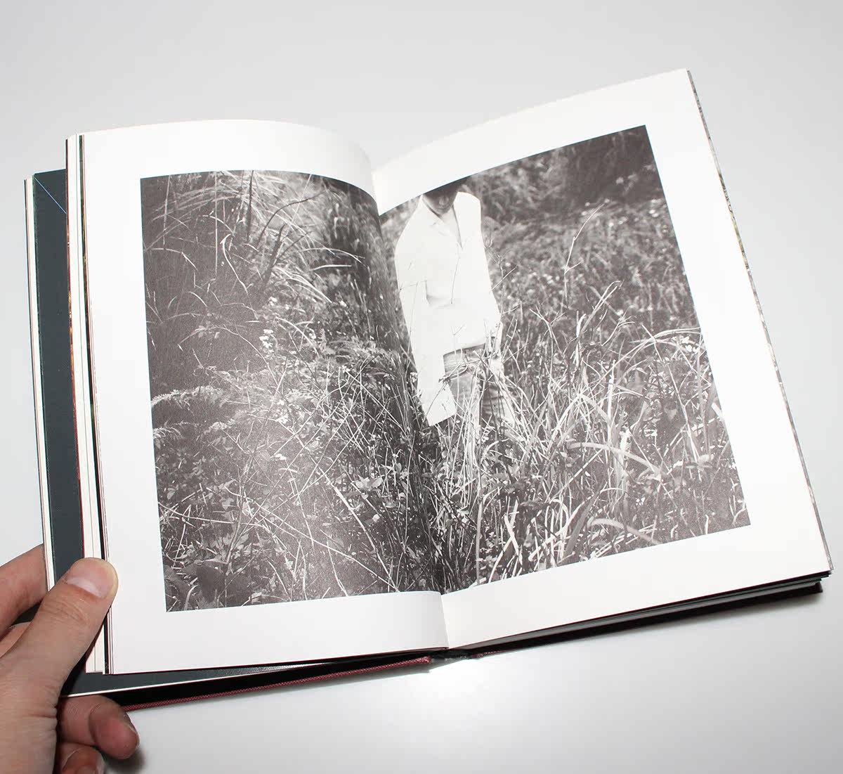 正版 张艺兴第二张个人专辑 二胎 sheep cd 精装写真集 羊币