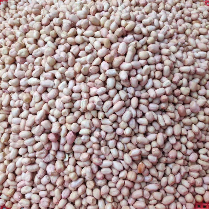 花生米花生红安农家自种山地新产去壳粉皮5斤新鲜花生