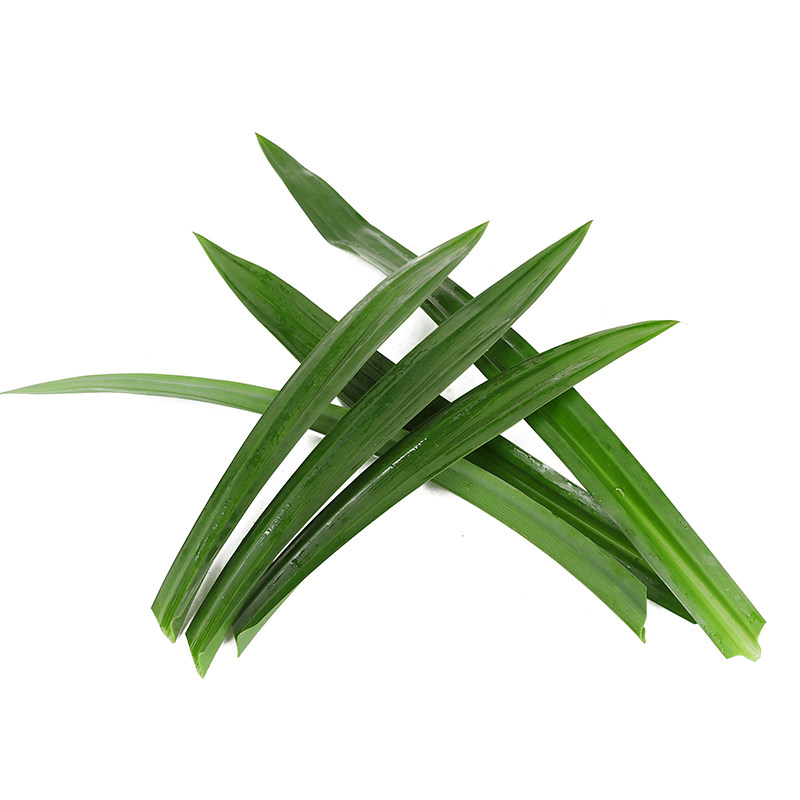 香兰蛋糕千层500g米饭糯米芒果蔬菜叶新鲜班兰叶其它