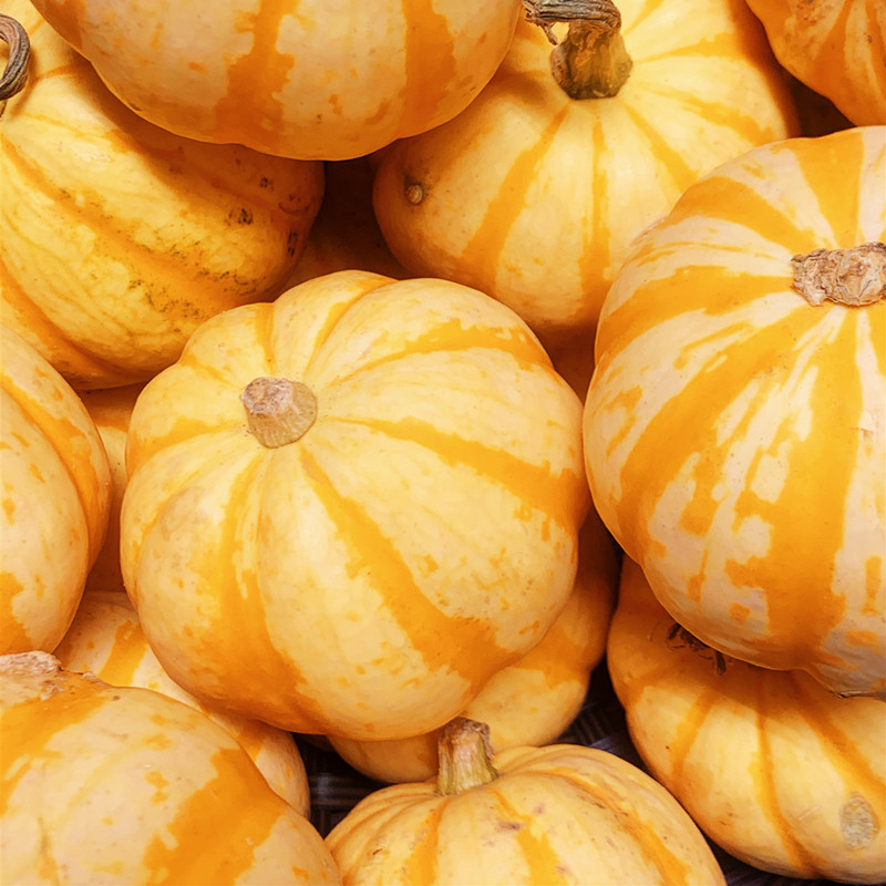 新鲜金桔南瓜贝贝果太阳果贝贝贝迷你小南瓜100g南瓜