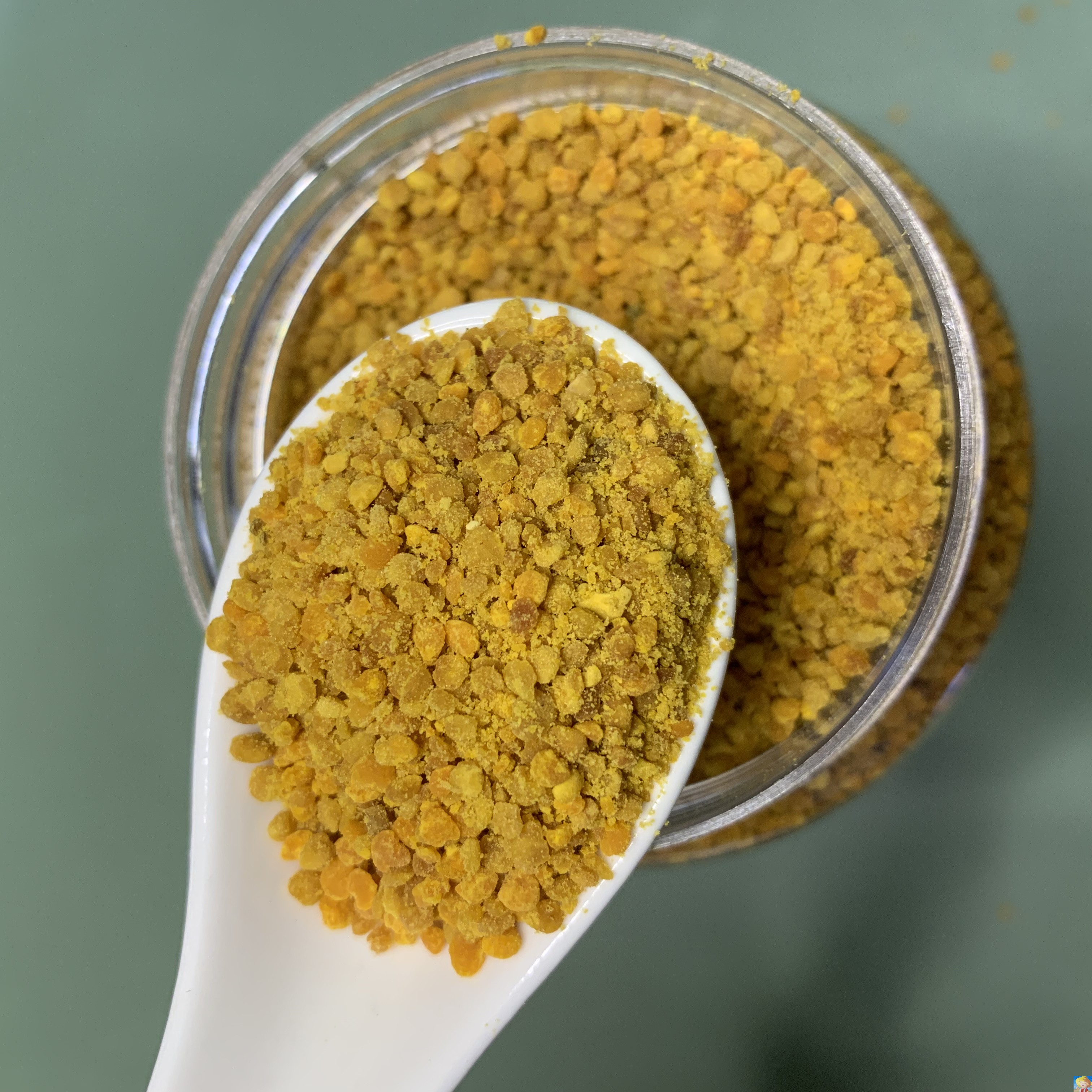 蜂花粉颗粒向日葵土蜂农家自产瓶装800g葵花花粉185团阿勒泰新疆