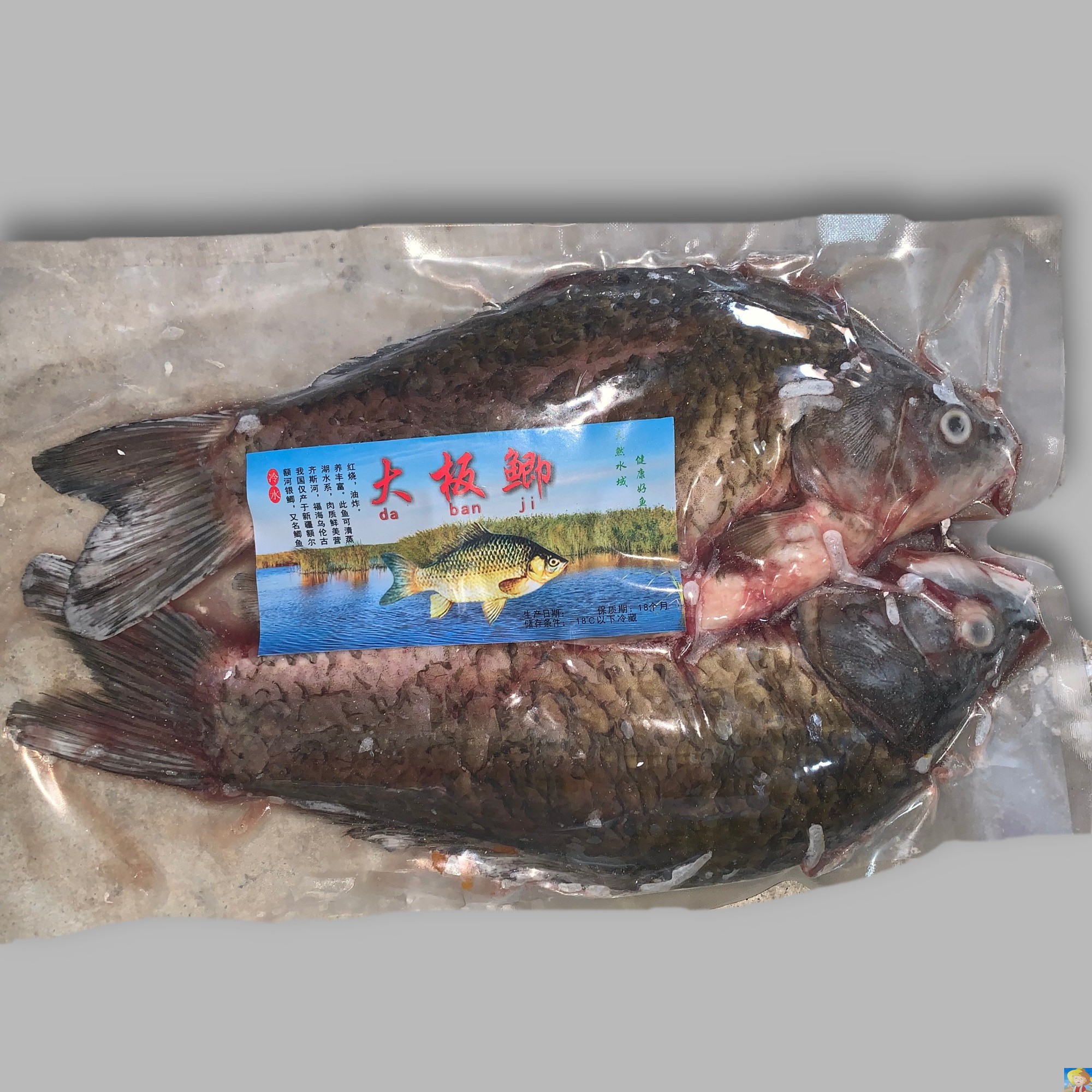 狗鱼乔尔泰淡水鱼冷水鱼鱼风干鱼熏鱼冻鲜新疆阿勒泰乌伦古湖福海
