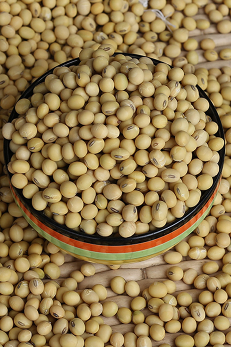 黄豆2020新大豆浆专用土老品种大黄农家自种黄豆