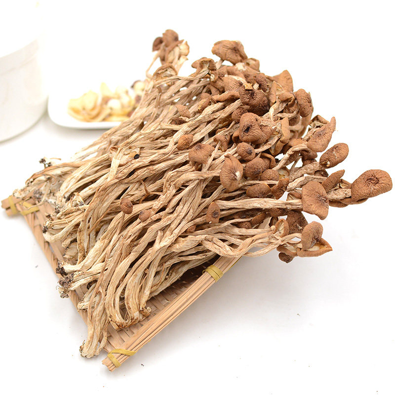 茶树菇干货200g特级不开伞农家小蘑菇茶树姑茹营养菌菇菌类干茶菇