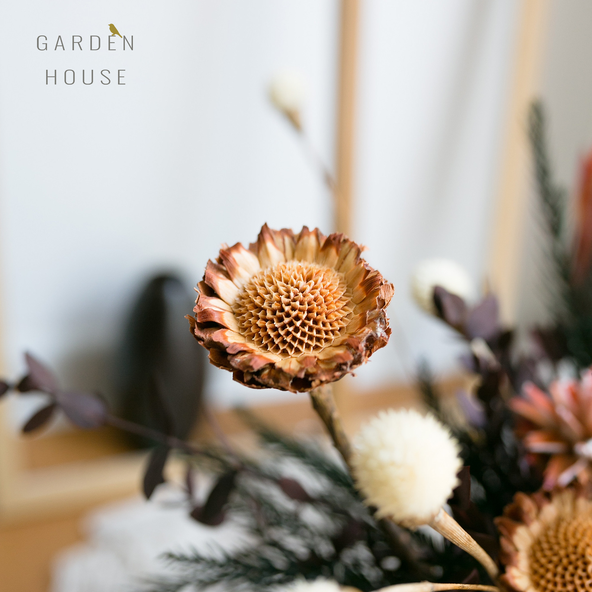 进口干花新年花材轻奢复古diy材料餐桌乔迁干花