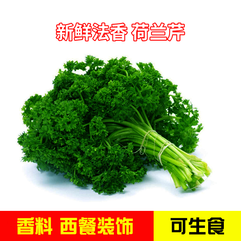 饰摆盘重庆四川满69顺丰 新鲜法香荷兰芹方西番西250g装 包邮 现摘
