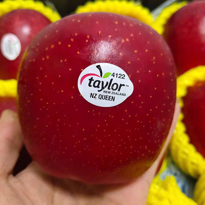 新西兰进口红玫瑰苹果礼盒12个新鲜水果queen皇后苹果
