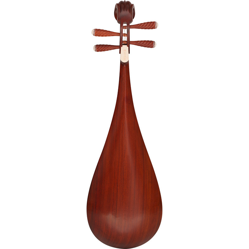 三弦朗月花梨琵琶专业级考考级演奏成人儿童琵琶