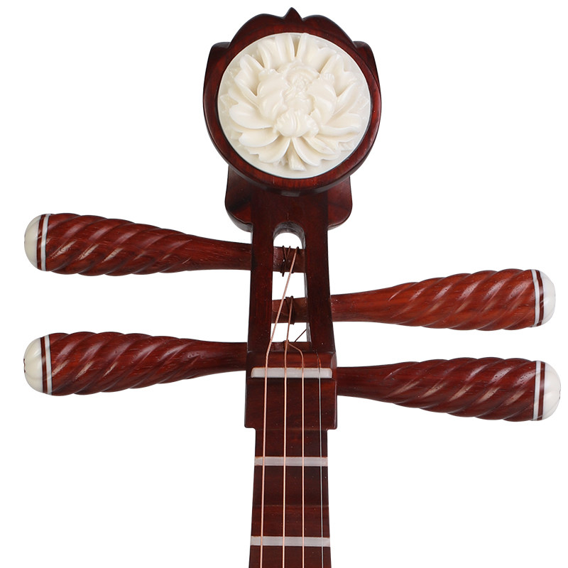 三弦朗月花梨琵琶专业级考考级演奏成人儿童琵琶