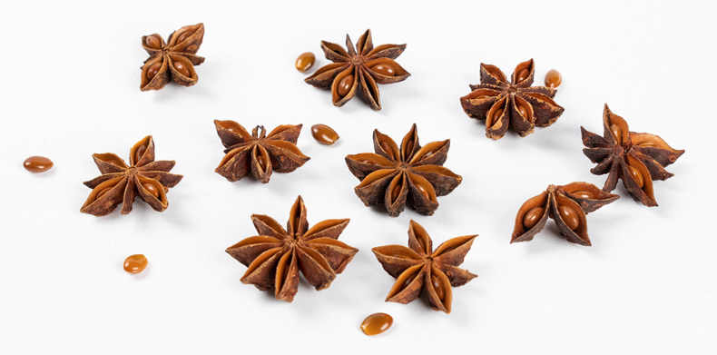 八角调料香料大料桂皮香叶组合花椒茴香辣椒花椒