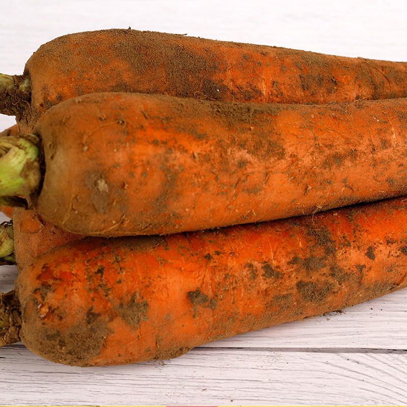 带箱10斤包邮带泥胡萝卜蔬菜新鲜脆甜农家自种即食水果红萝卜