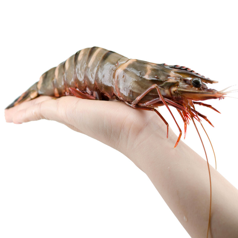 泰国虎虾海鲜水产鲜活冷冻进口超特特大海虾冻虾