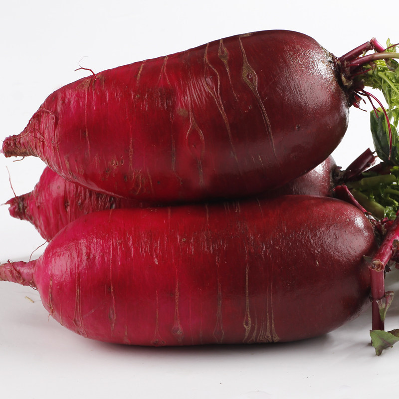 萝卜美人水果甜脆水果型青红红皮凤梨潍坊窝心萝卜