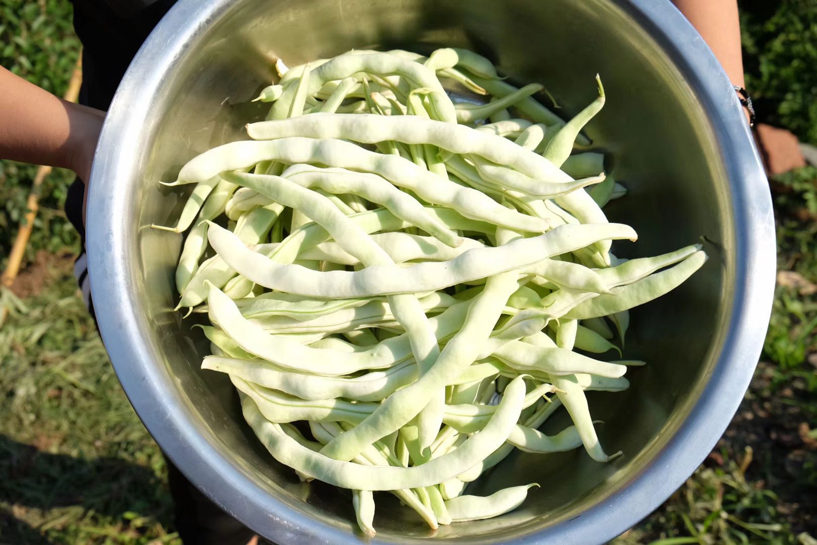 干煸豆角的做法_【图解】干煸豆角怎么做如何做好吃_干煸豆角家常做法大全_王榴莲_豆果美食