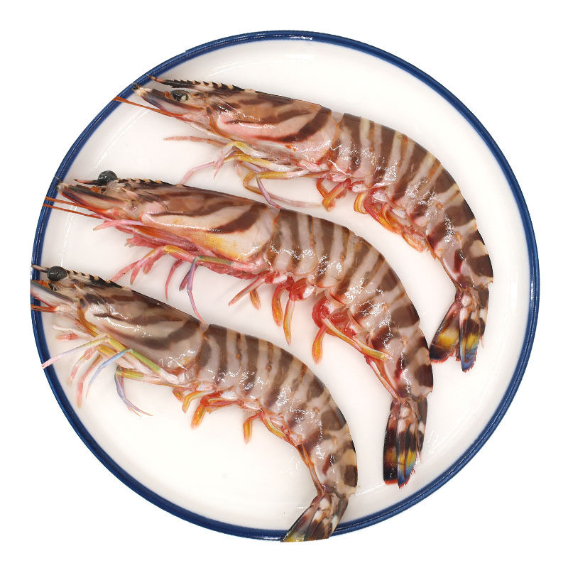 逃跑鲜生大虾斑节虾九节虾东山岛野生海鲜竹节虾超大号新鲜活速冻