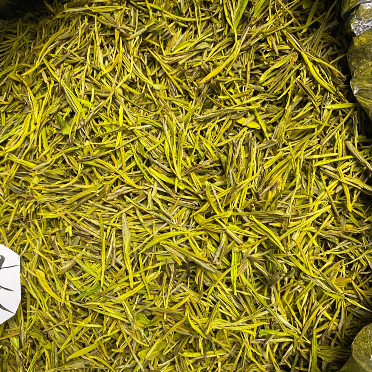 浙江松阳黄金芽茶秋茶白茶一斤500克黄金叶茶叶袋装高山口粮茶