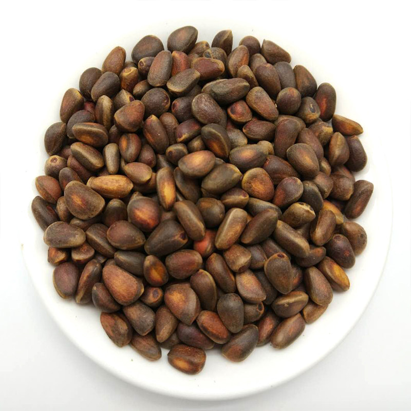 新鲜生松子松鼠粮食水煮松子 五香俄罗斯雪松子2份送夹子500g包邮