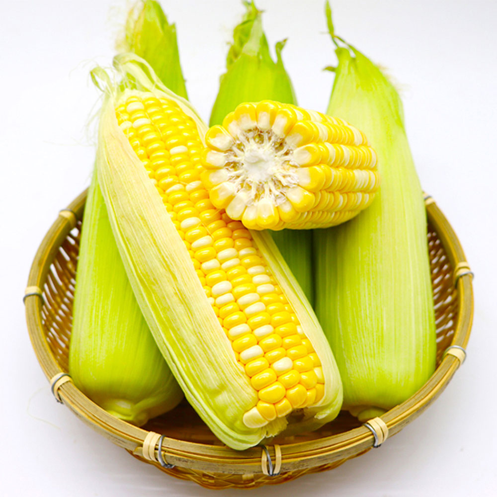 新鲜水果玉米带箱10斤(热品库)