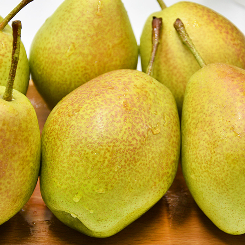 应季新鲜红香酥梨10斤现摘现发