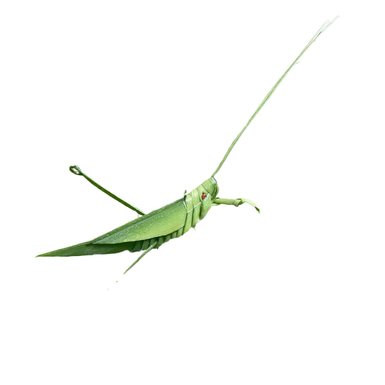 棕编工艺品草编动物手工艺粽叶编织新鲜蚂蚱蝗虫竹编