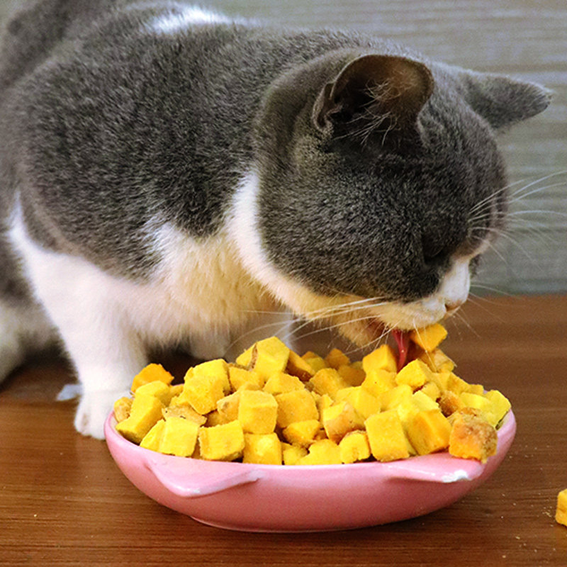 蛋黄冻干猫咪增肥零食卵磷脂狗狗鹌鹑毛猫咪养美猫咪特色零食