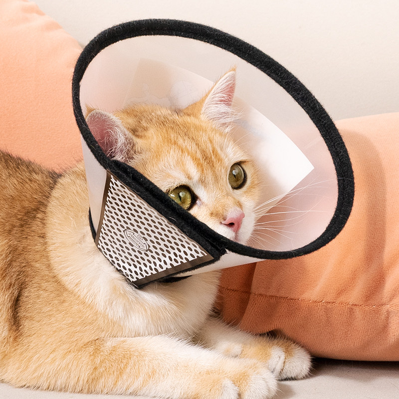 项圈宠物防咬狗狗猫狗头套宠物用品伊丽莎白圈防舔防碗