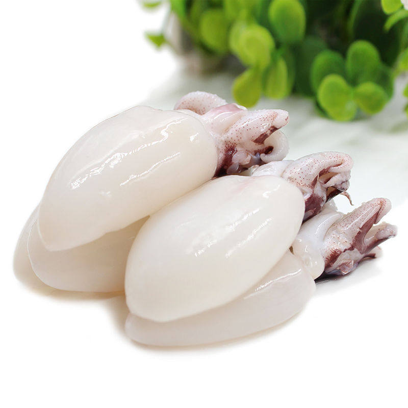 新鲜墨鱼冷冻海鲜水产鲜活小目鱼仔去皮内脏冷冻墨鱼