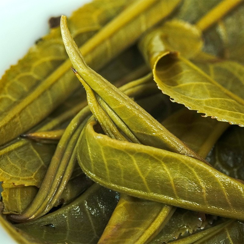 福茂冰岛地界普洱茶生茶云南临沧茶区普洱茶饼普洱