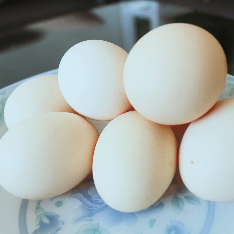 活珠子鸡胚蛋无毛新鲜13天喜蛋凤凰蛋生钢化蛋旺蛋非毛蛋20只包邮