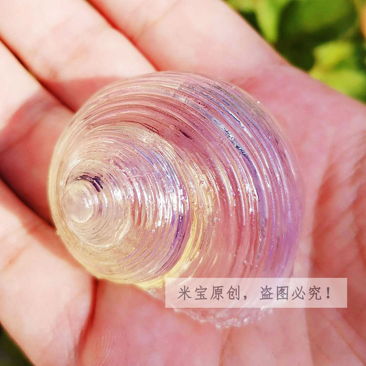寄居树脂打印3d西伯短腕草莓海螺水晶透明海螺