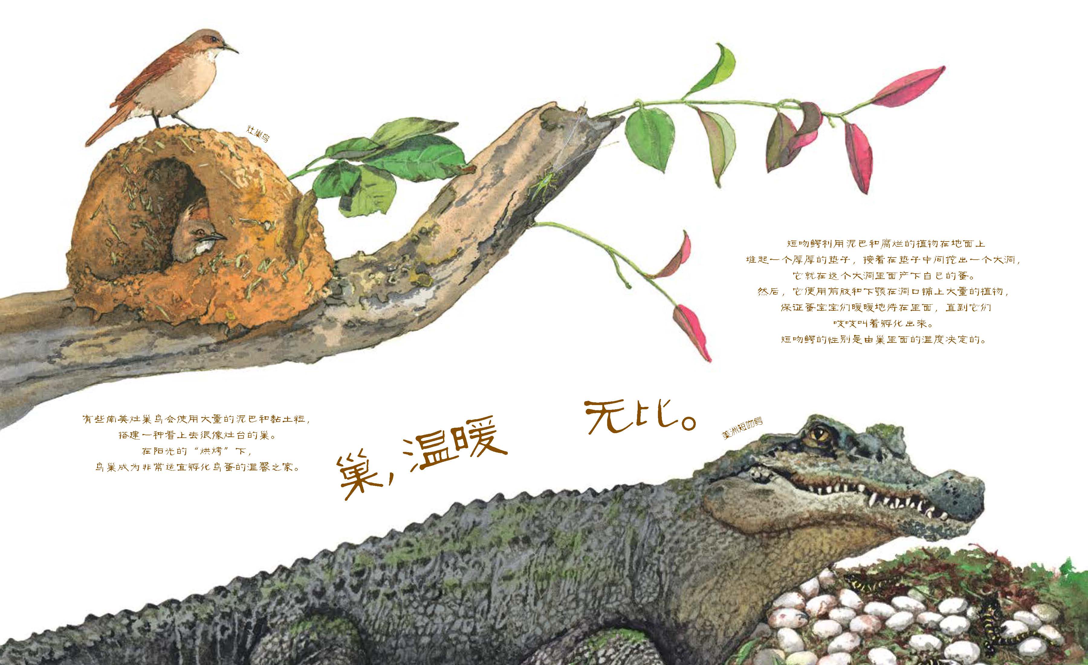 7-10小学生阅读故事书大自然昆虫科普儿童绘本