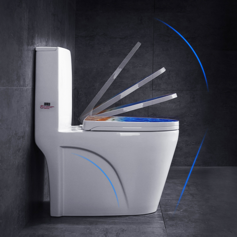 丹芝翻板马桶陶瓷家用直冲直排坐便器翻斗防堵普通坐便器