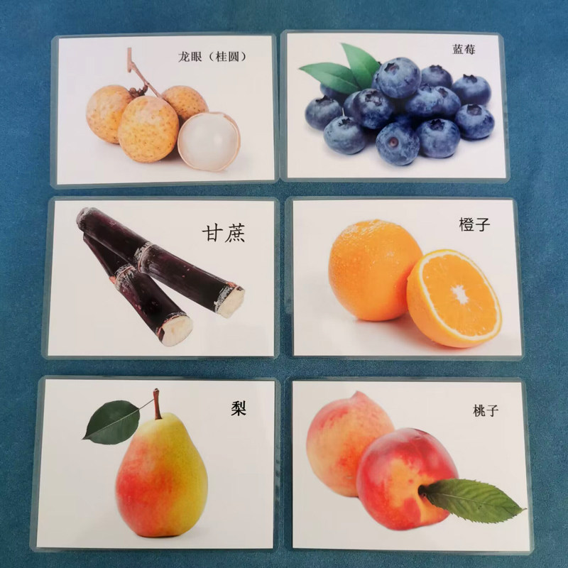 幼儿儿童水果认知名词彩图玩具自闭症宝宝益智玩具挂图